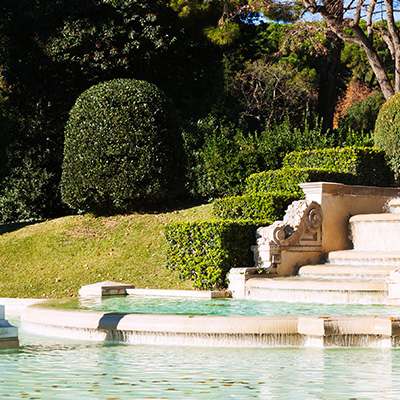 Yabancı Ot İlaçlama